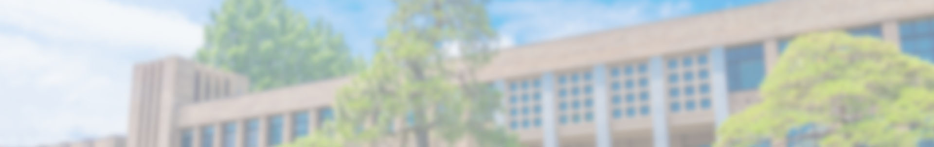 実績