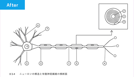 記号・図・式のトレース技術