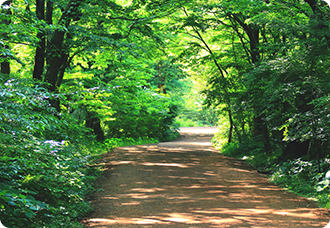 森林・林業系学会様